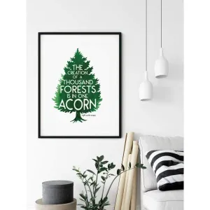 A Thousand Forests