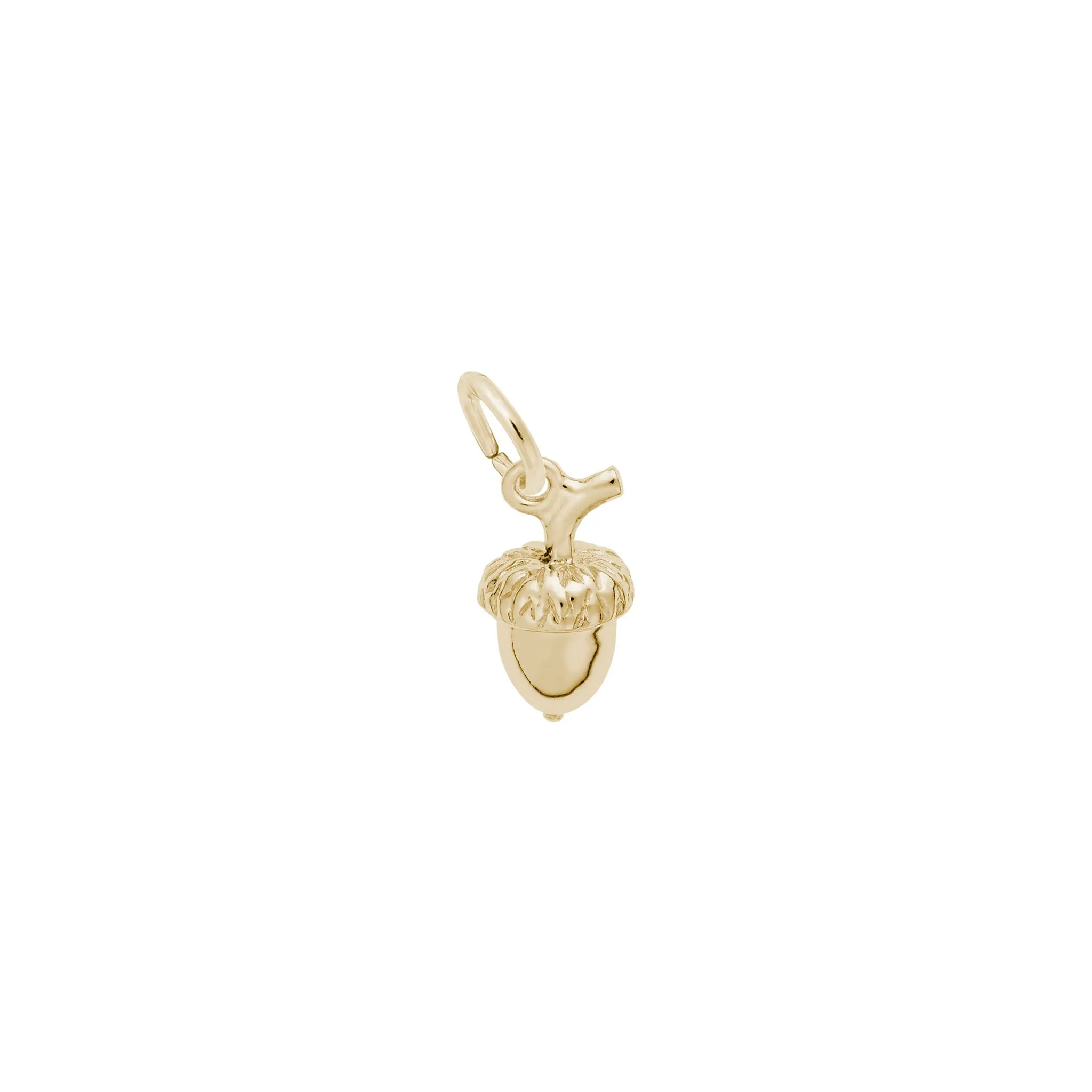Acorn Accent Charm