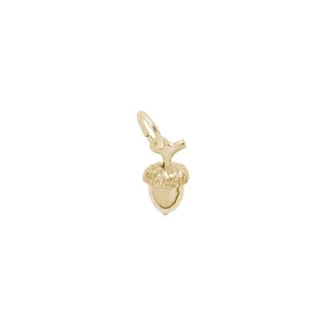 Acorn Accent Charm