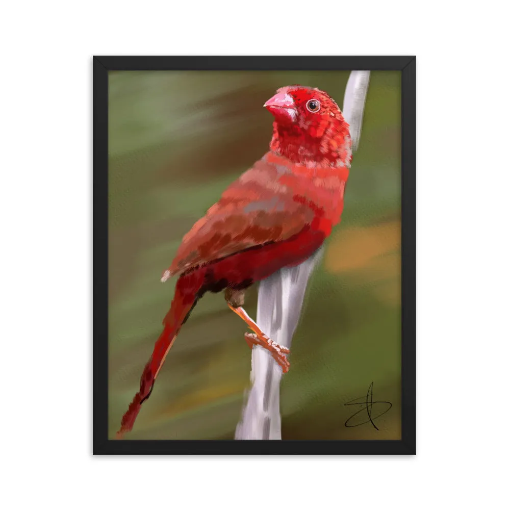 Bird 1 by Chris G. Simmons - Framed Poster Print