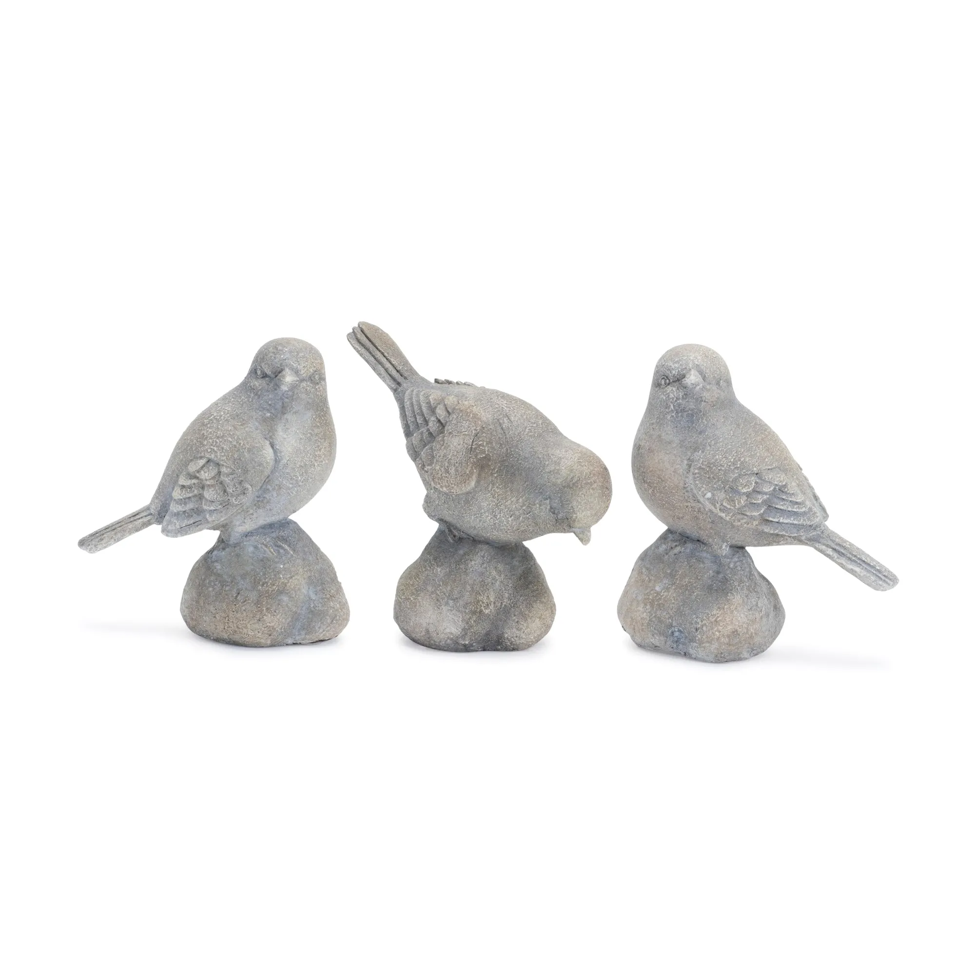 Bird On Stone
