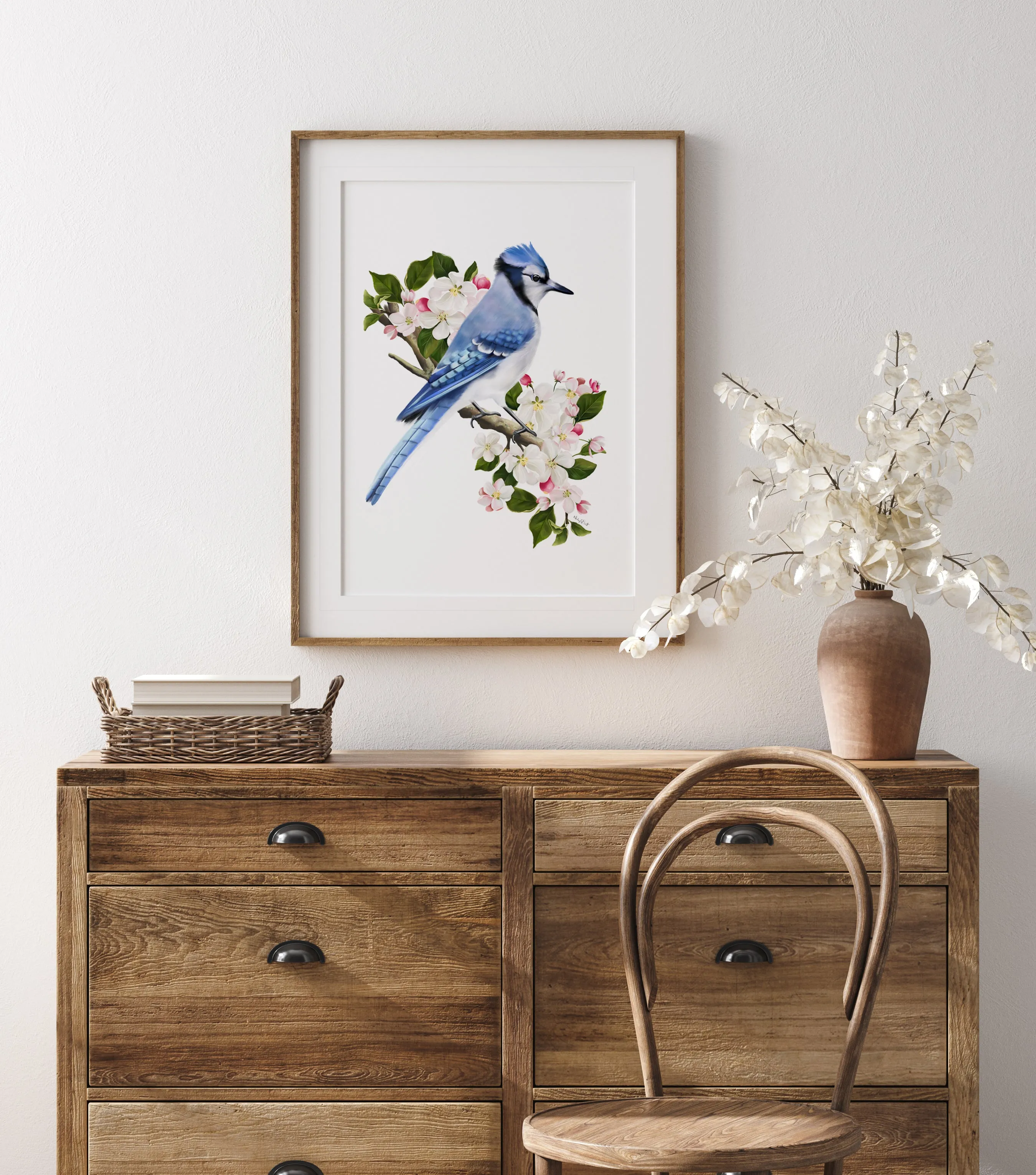 Blue Jay Bird on Apple Blossom Branch Art Print