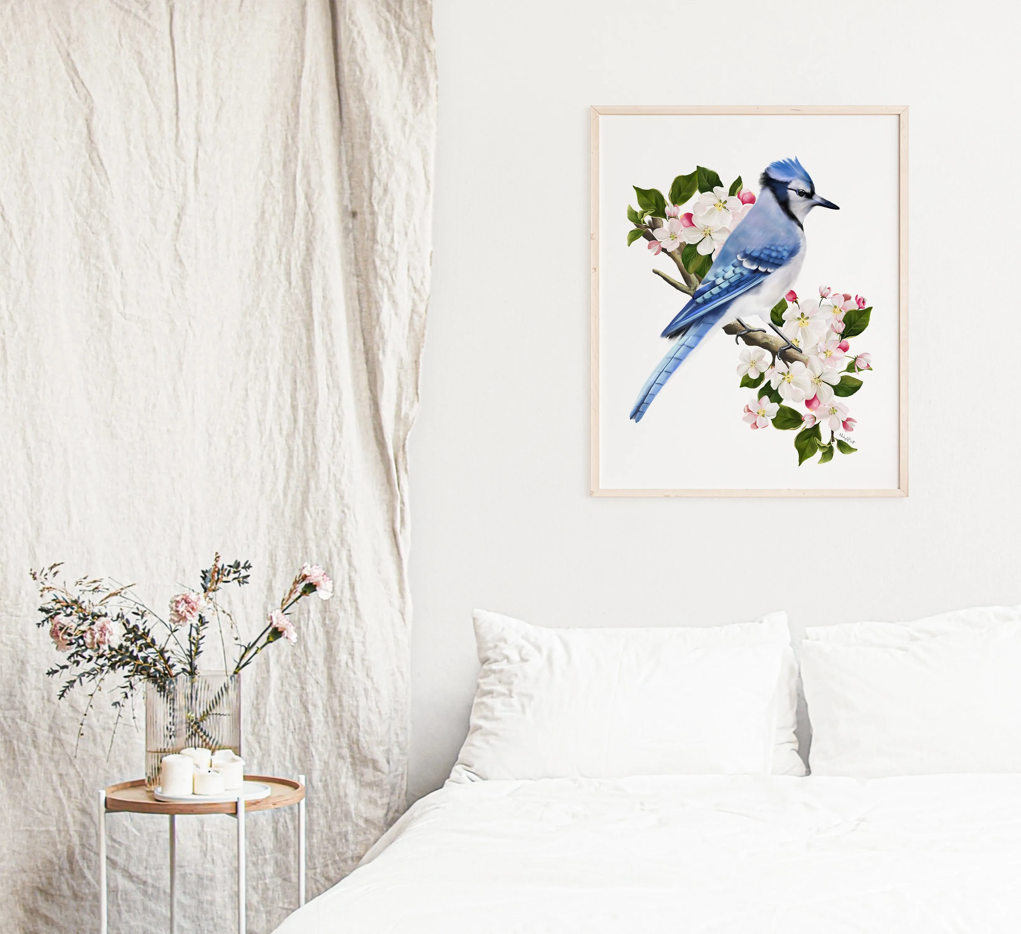 Blue Jay Bird on Apple Blossom Branch Art Print