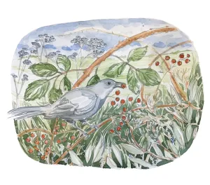 Catbird Card
