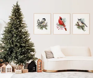 Christmas Bird Art Prints - Set of 3