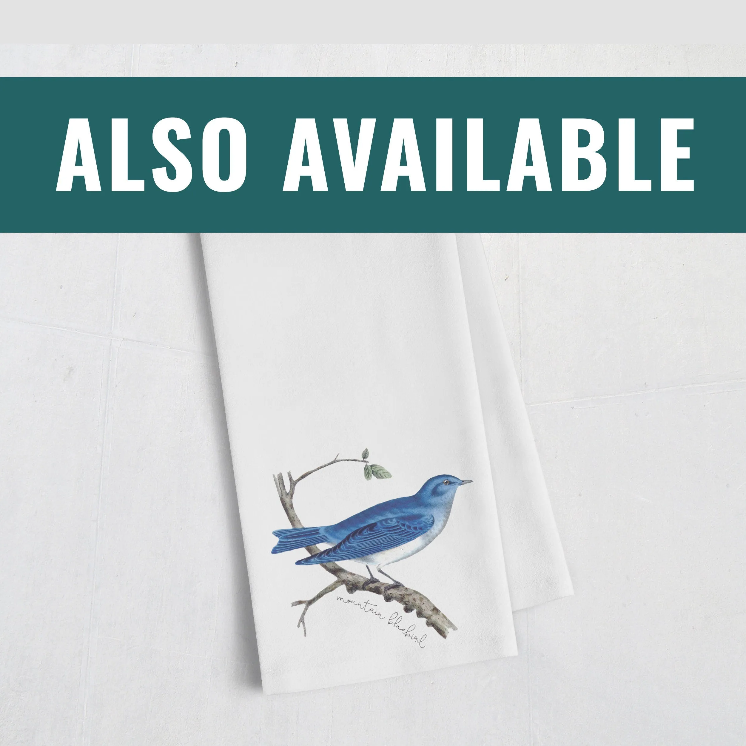 Connecticut State Bird Wall Art - Robin Print, Connecticut Home Decor, Gift for Bird Lover, Nature Poster
