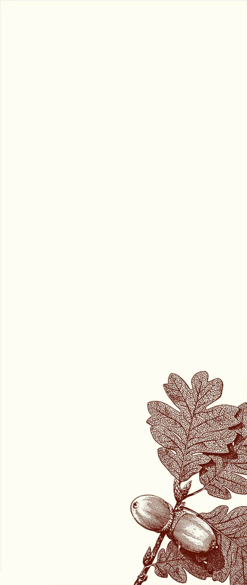 Customizable Acorn Leaf Long Pad 3-Pack