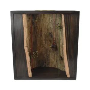 David Montgomery "Cavern" Diorama