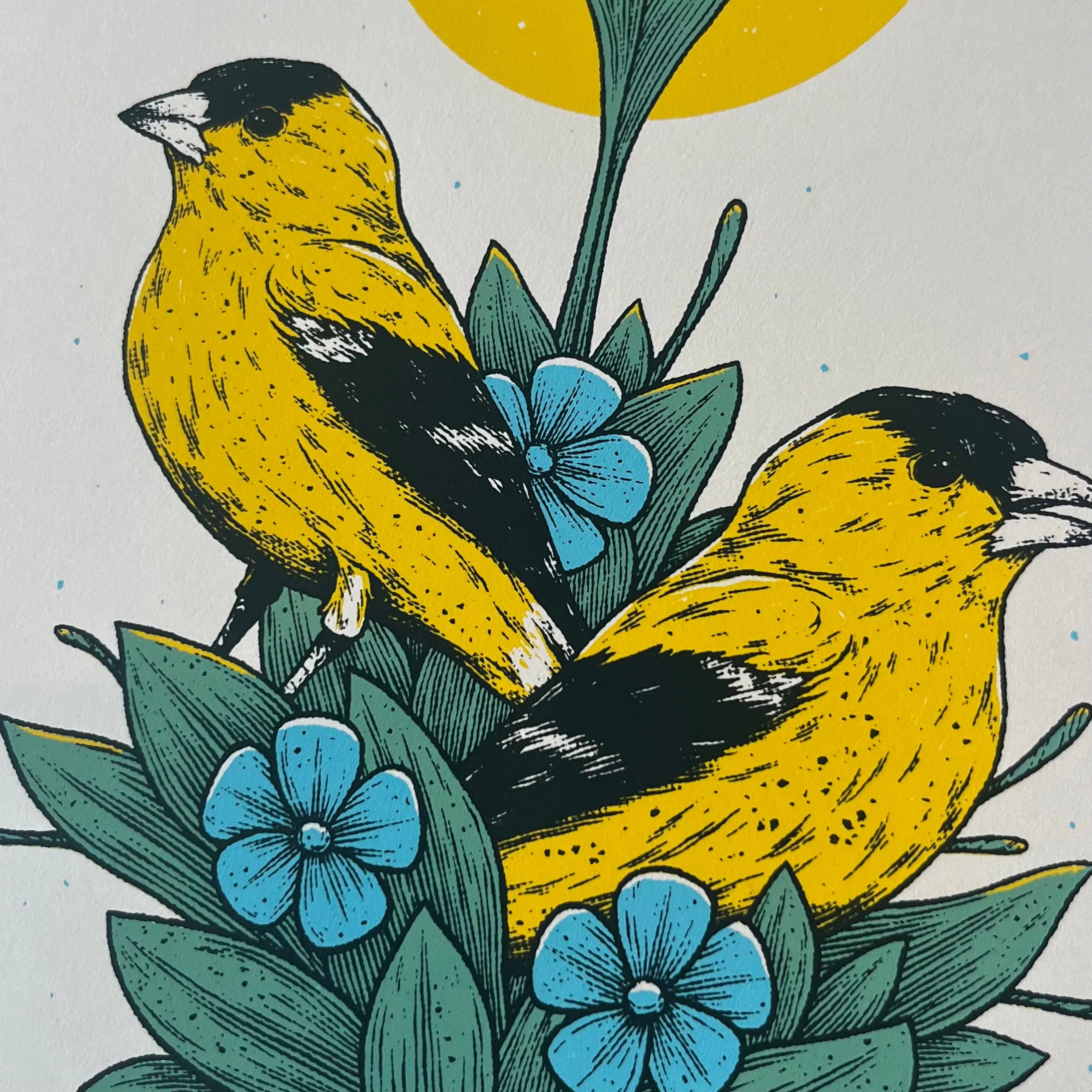 Goldfinches - Logan Schmitt