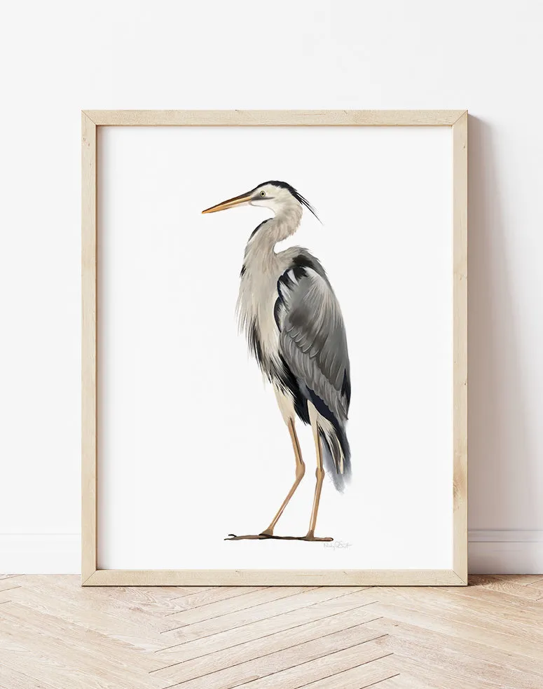 Great Blue Heron Bird Art Print