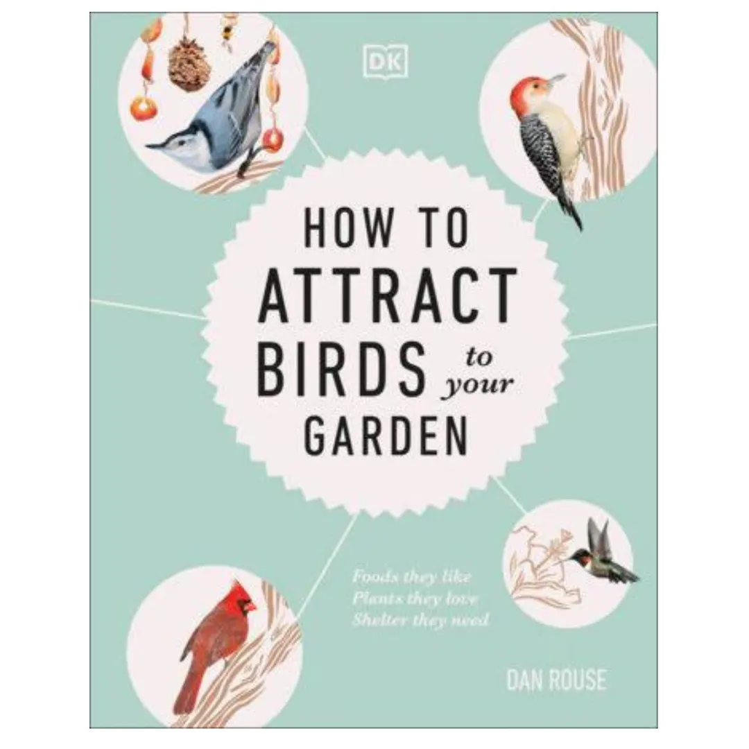 How to Attract Birds