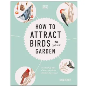 How to Attract Birds