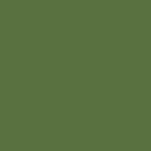 Little Greene Hopper Paint 297