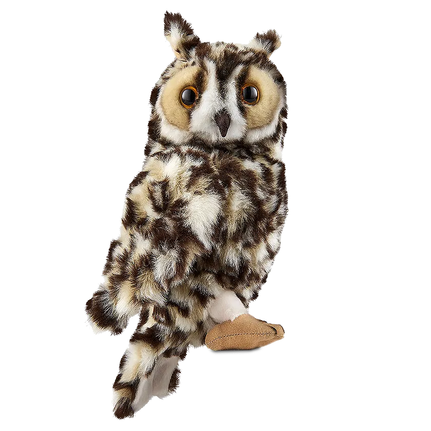 Long Eared Owl