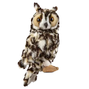 Long Eared Owl