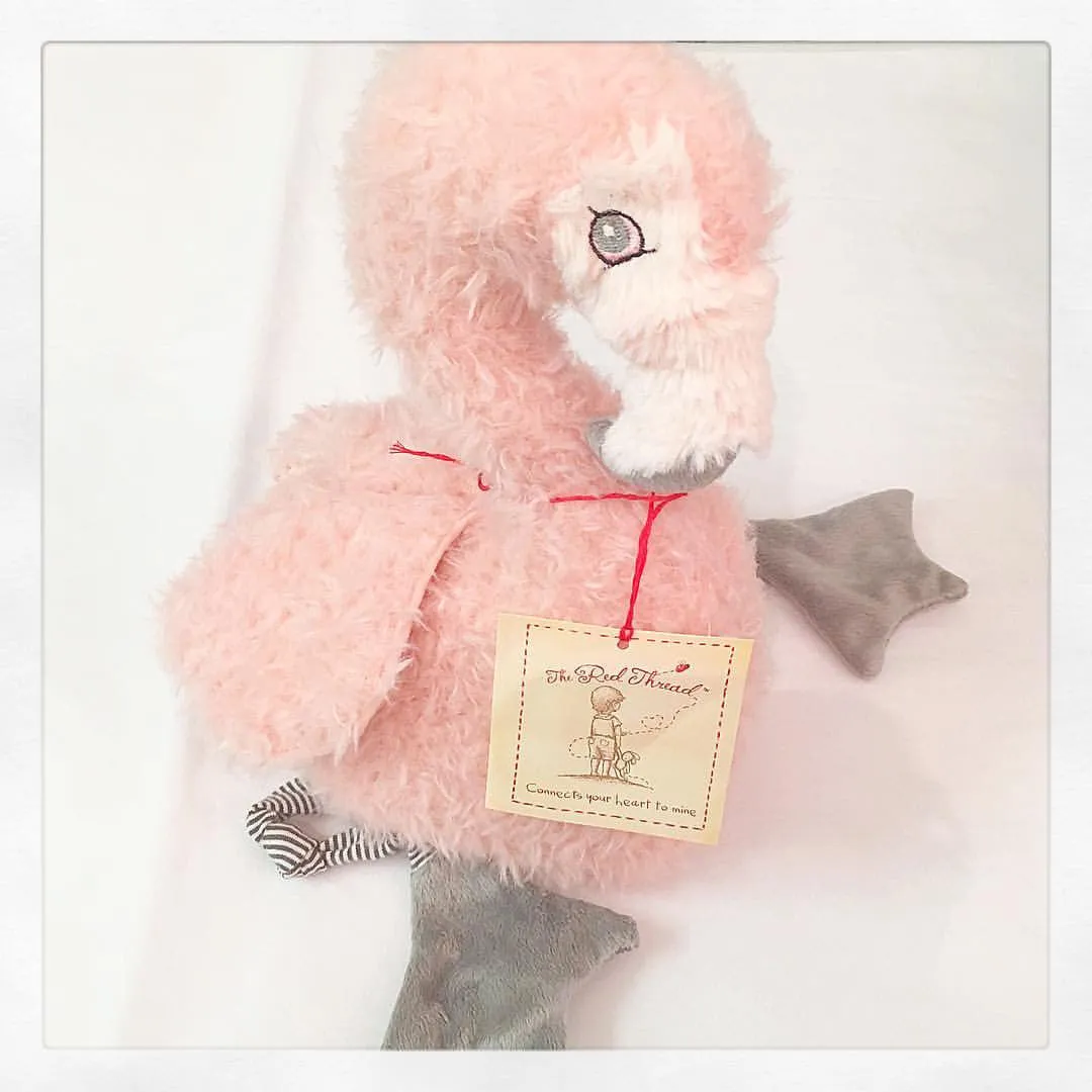 Mingo the Flamingo