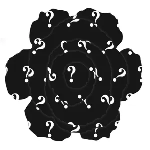 Mystery - Beau Fleur Boutonniere