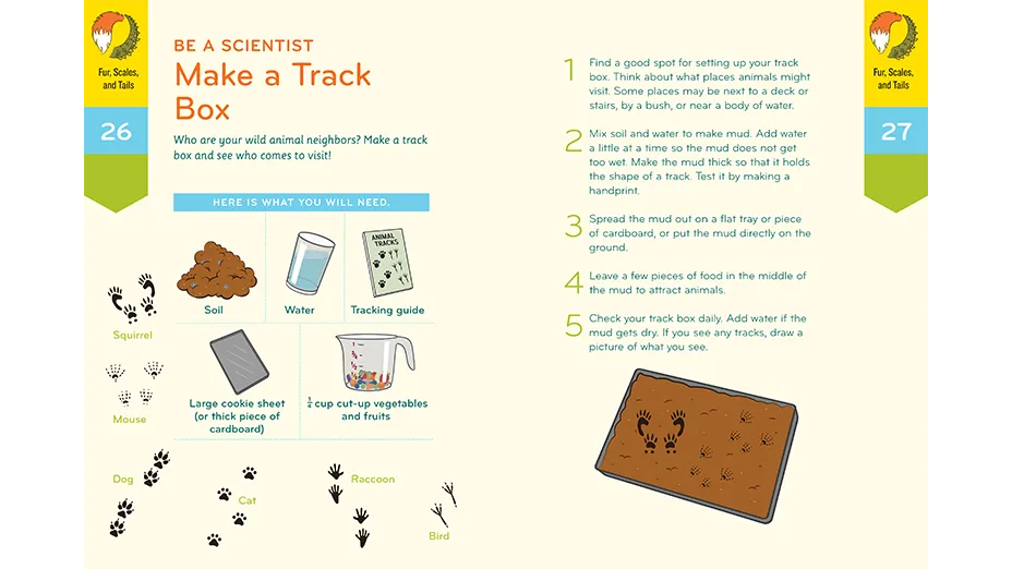 Nature Workbook (Ages 4-6)