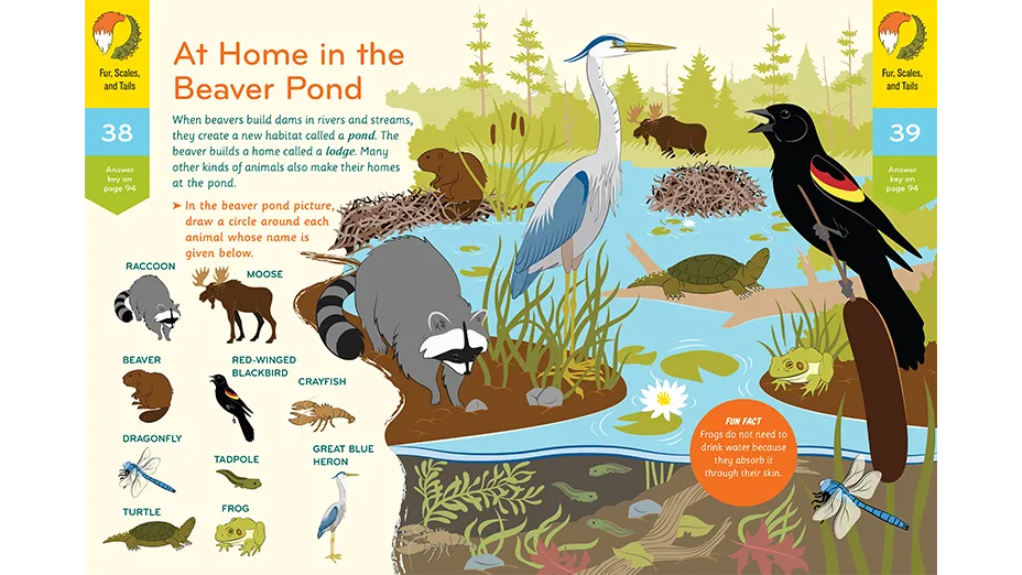Nature Workbook (Ages 4-6)