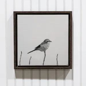 Neutral Bird II