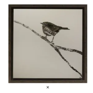 Neutral Bird IV