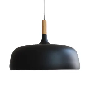 Northern Acorn Pendant Light
