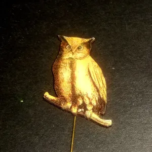 Owl Stick Pin