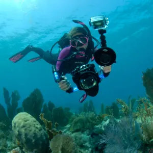 PADI Digital UW & UW Photographer Course