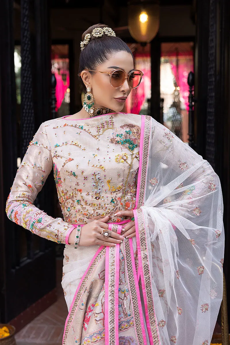 Pakistani Wedding Dress in Premium Net Saree Style