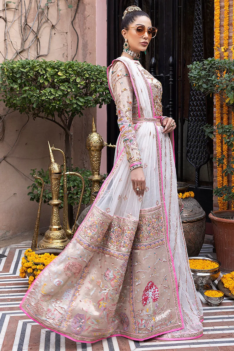 Pakistani Wedding Dress in Premium Net Saree Style