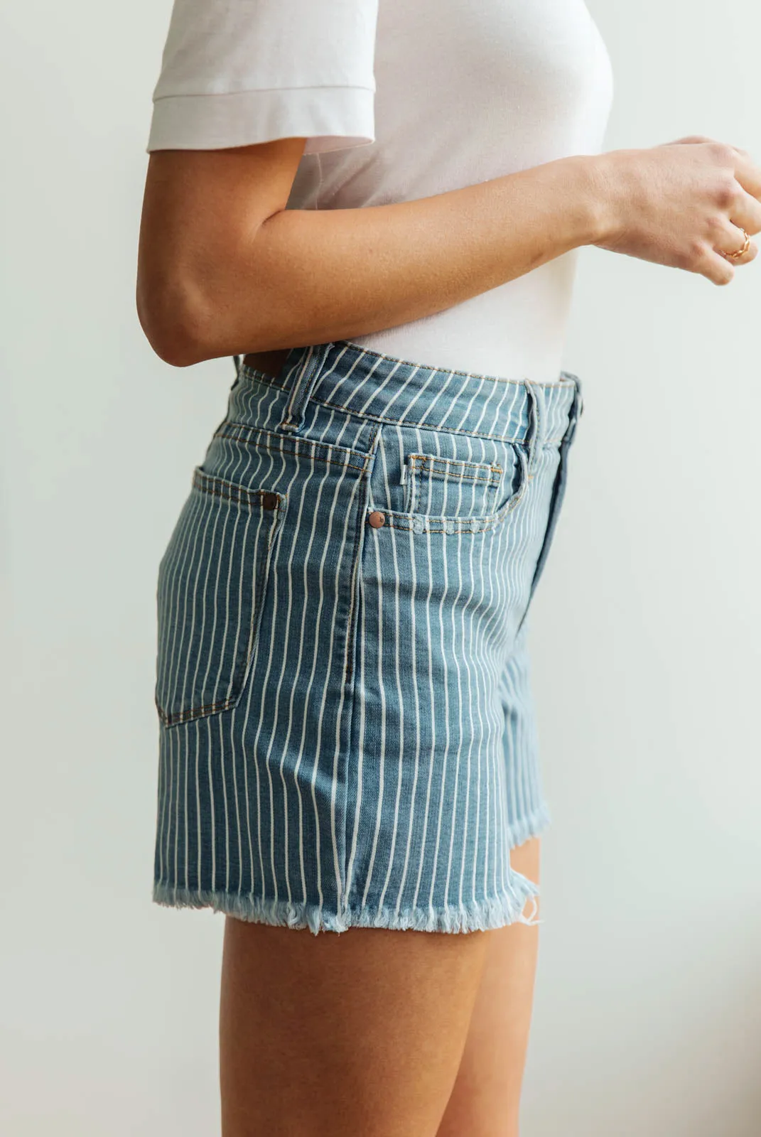 Park Striped Shorts
