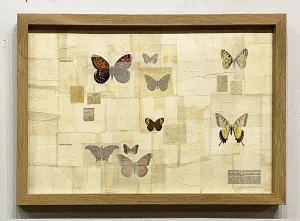 "Habitat ~ Butterflies" by Karla Fuller