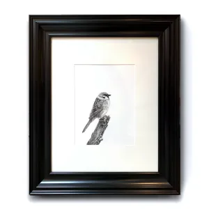 "Sparrow" Charcoal Drawing 9x12