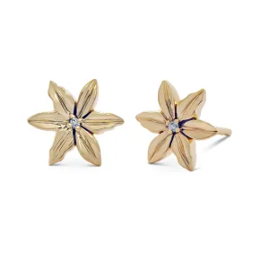 Ready to Ship - Mexican Star Flower Studs