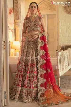 Royal Bridal Red Lehenga Choli Dupatta Dress #BS693