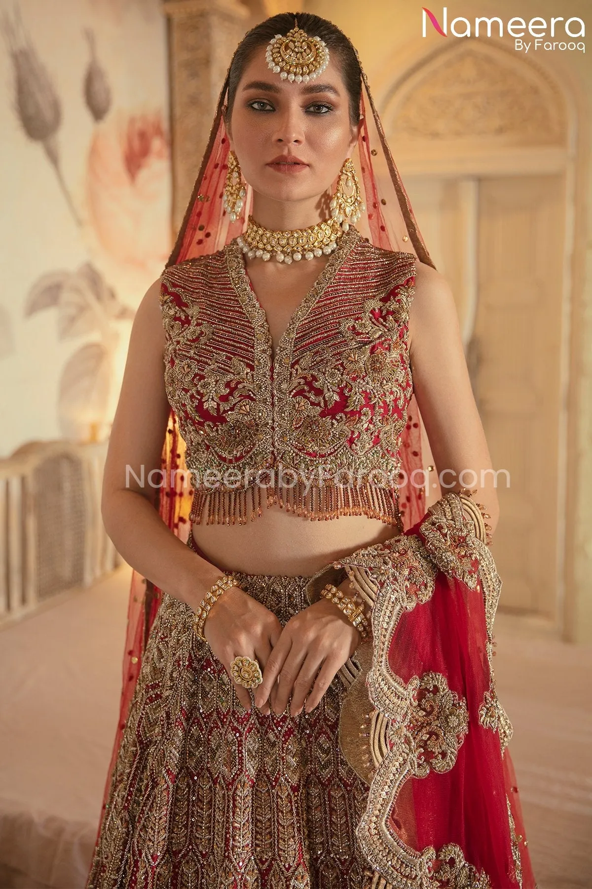 Royal Bridal Red Lehenga Choli Dupatta Dress #BS693