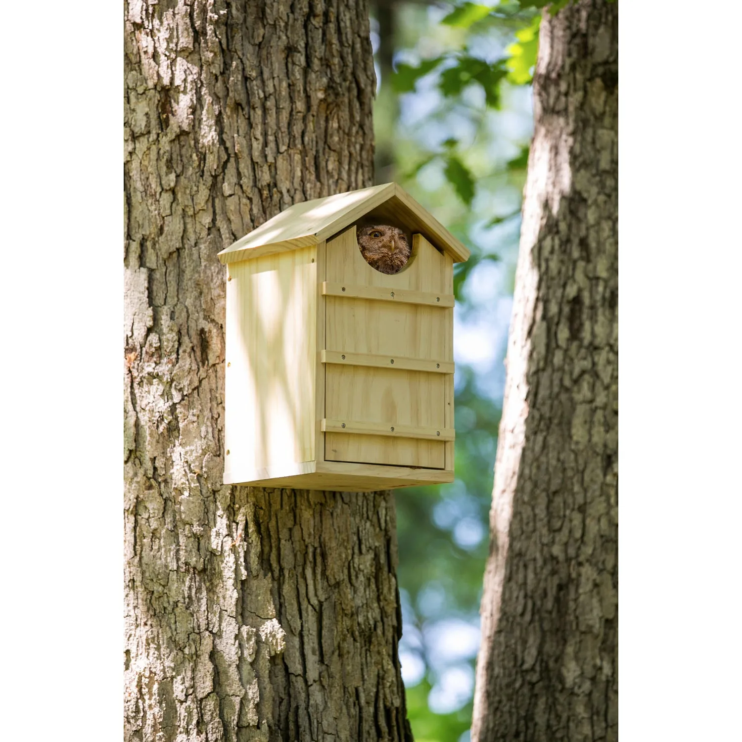 Screech Owl House Nesting Box,2bh580