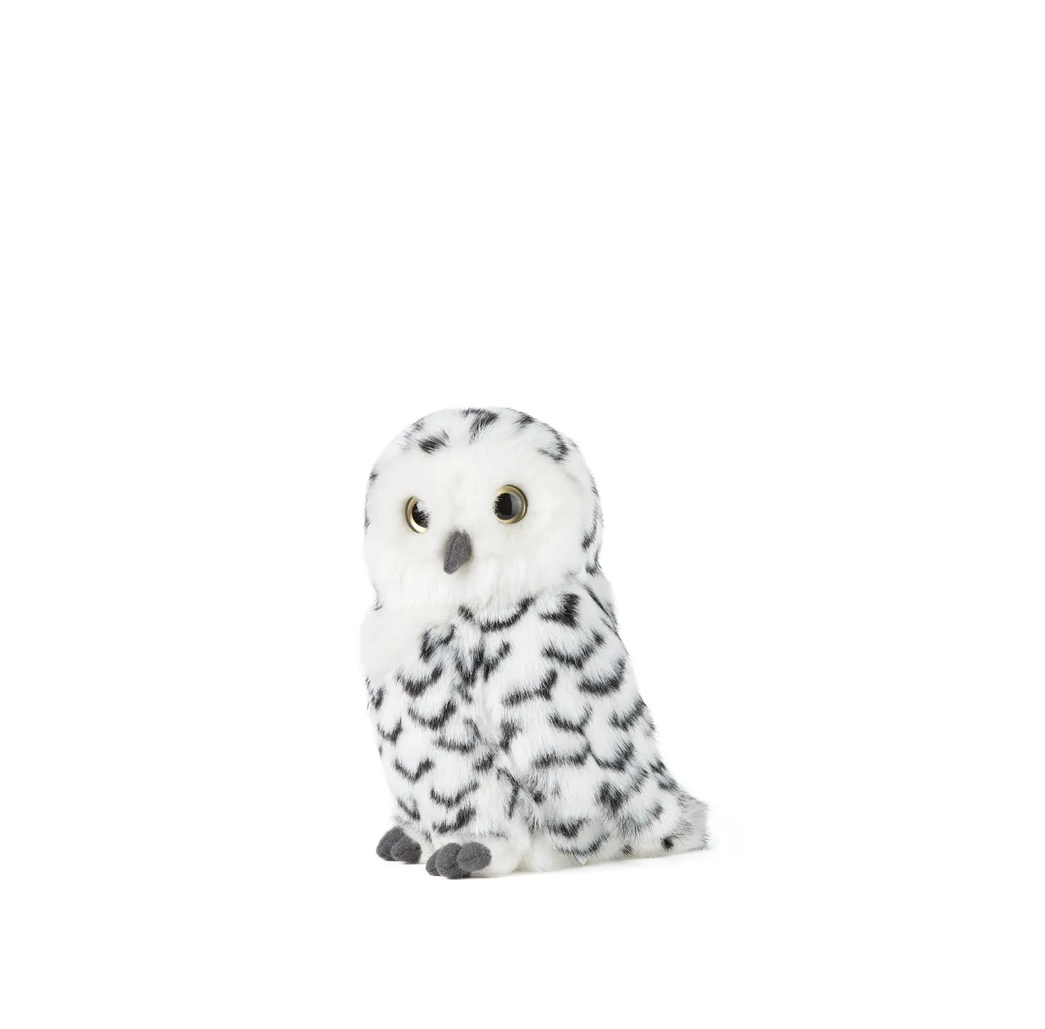 Snowy Owl with Turning Head