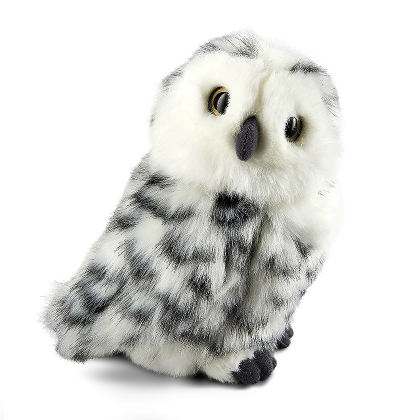 Snowy Owl with Turning Head