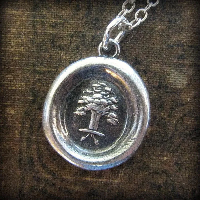 The Oak and The Acorn | Great Things Have Small Beginnings