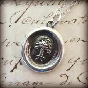 The Oak and The Acorn | Great Things Have Small Beginnings