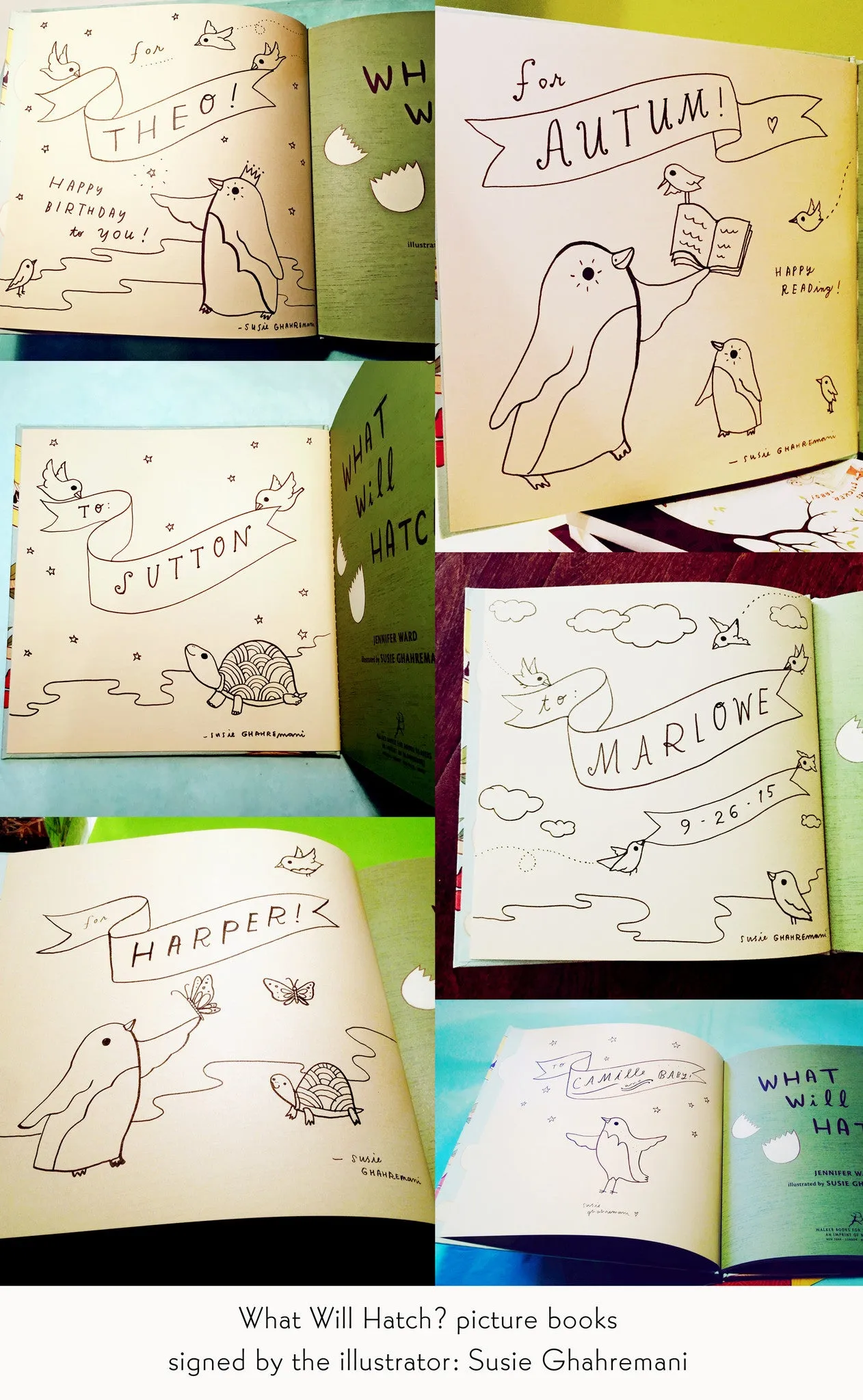 What Will Hatch? Children's Picture Book