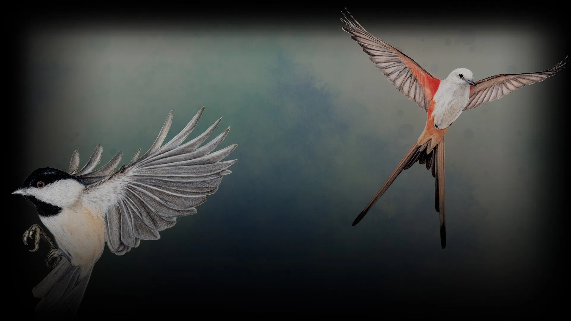 Wingspan (PC/MAC)