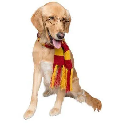 Wizard Scarf Pet Costume