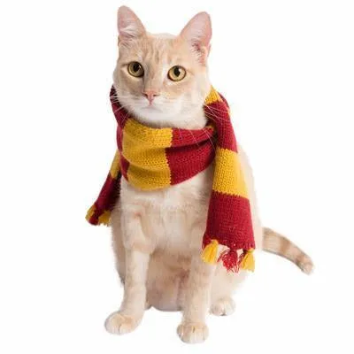 Wizard Scarf Pet Costume