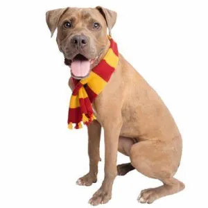 Wizard Scarf Pet Costume